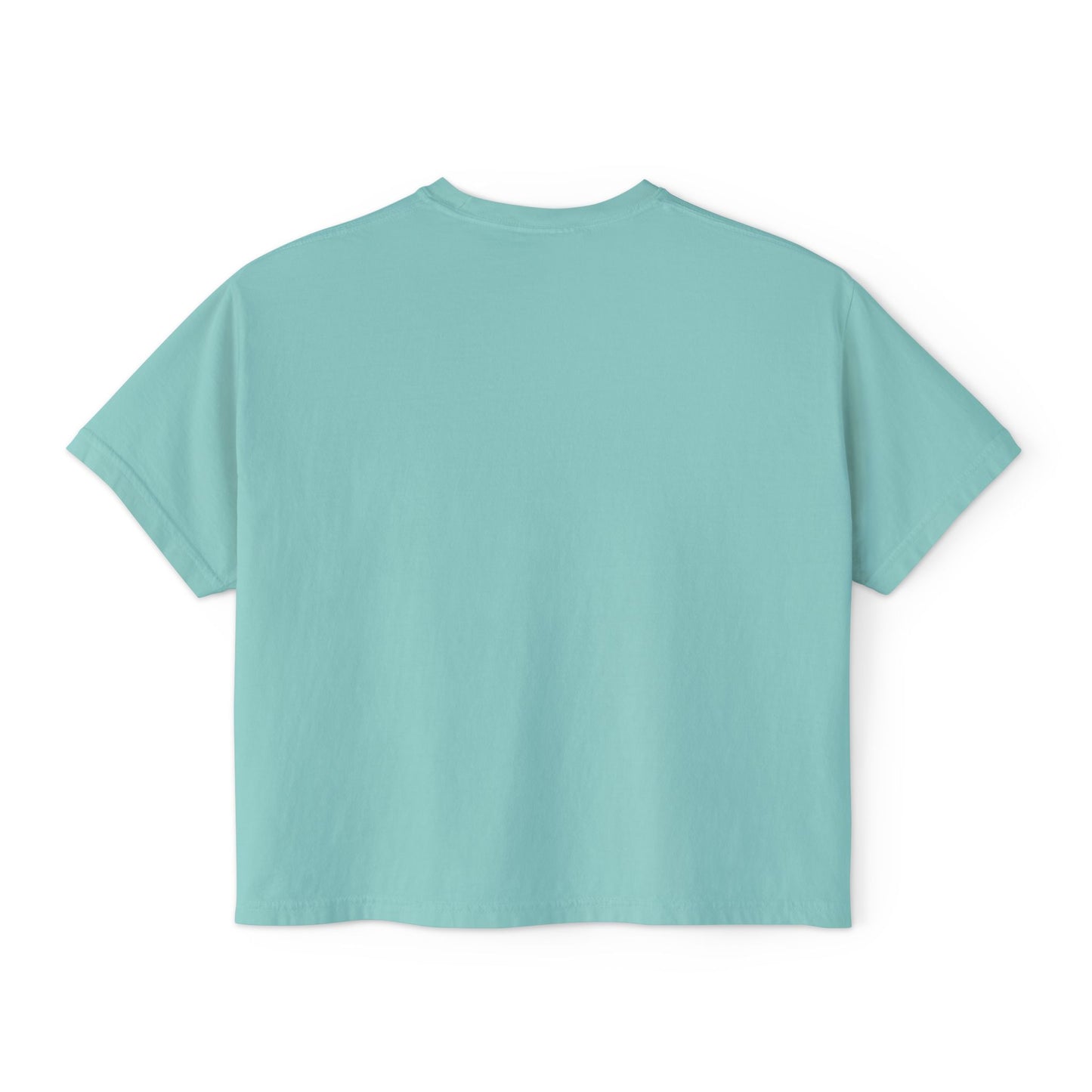 Baroque Women's Boxy Tee, Vintage Style T-shirt for Festivals, Casual Wear, Summer Outfits, Gift for Her - Sky Blue & Maroon Striped Baroque